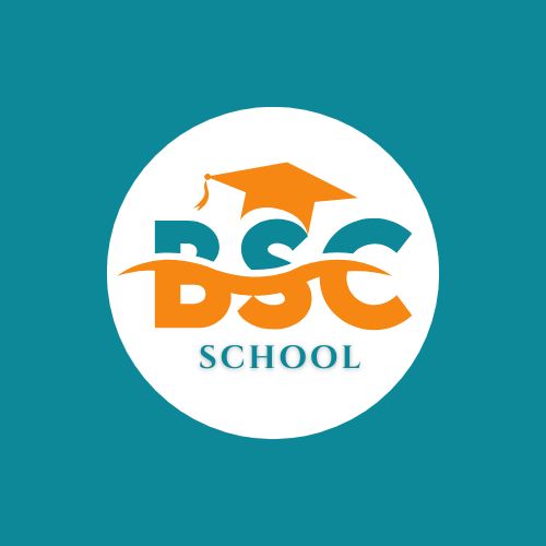 Logo BSC School